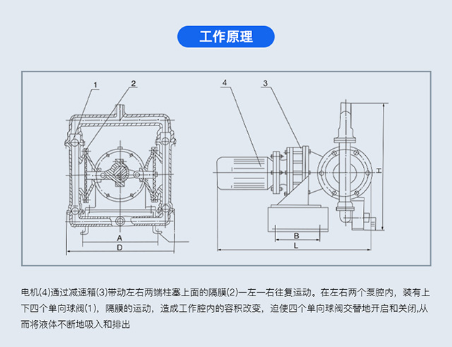 DBY-F型衬氟电动隔膜泵