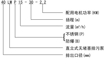  LW型直立式无堵塞排污